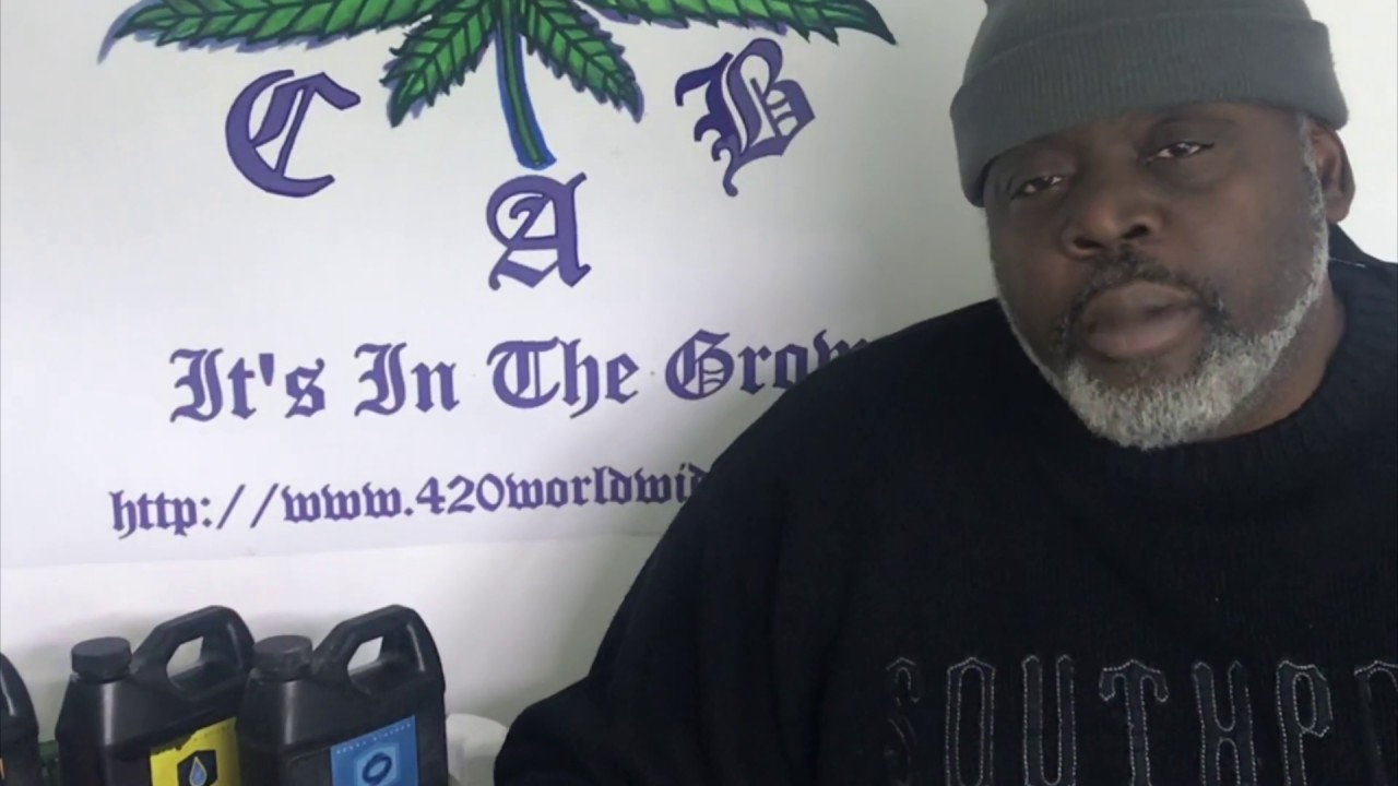 Welcome to 420 World Wide C.A.B