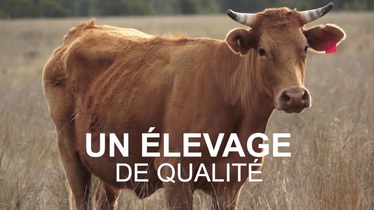 Pr&eacute;sentation La Ferme de Sannois