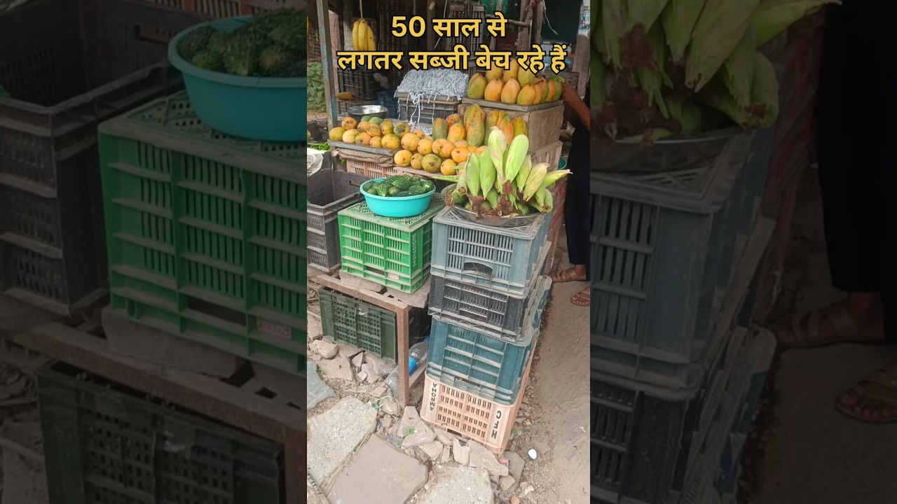 Sabji wala Vlog/Badanaya goan/Hindoli/The Hadoti Vlog