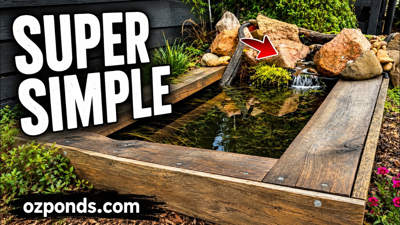 Super Simple DIY Backyard Pond Build