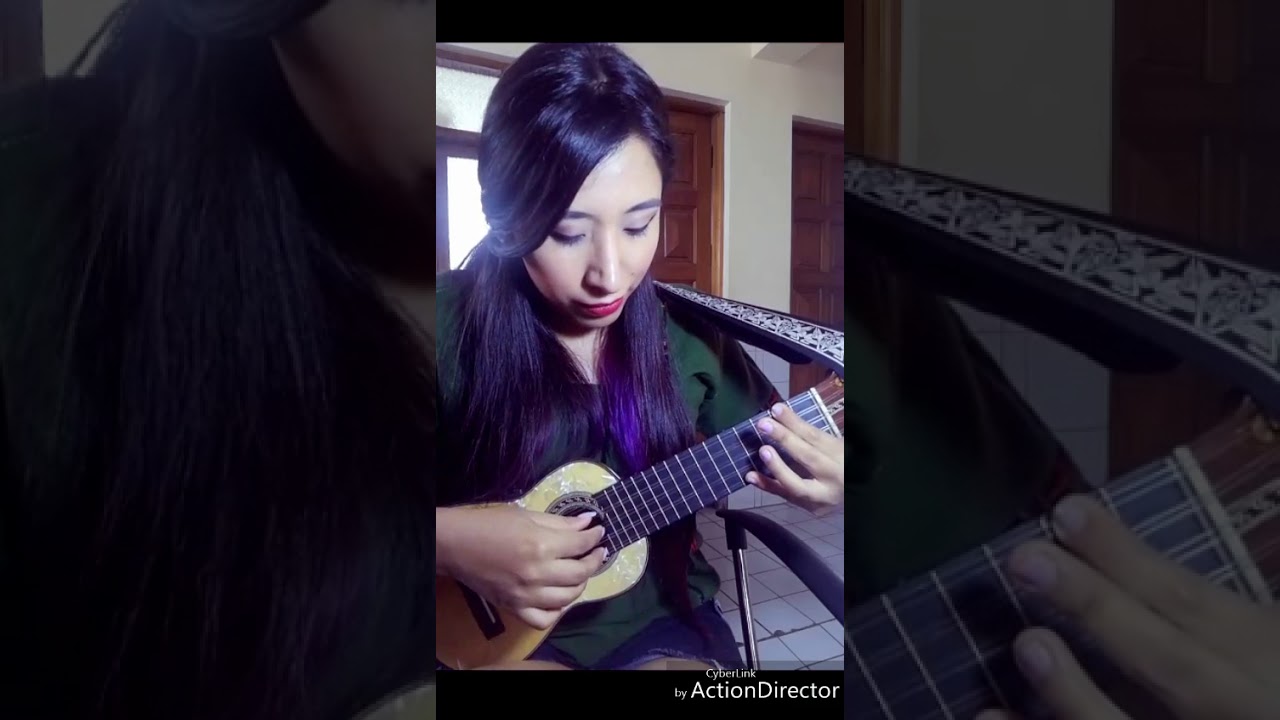 Homenaje a Potosí (Luciel Izumi) Charango