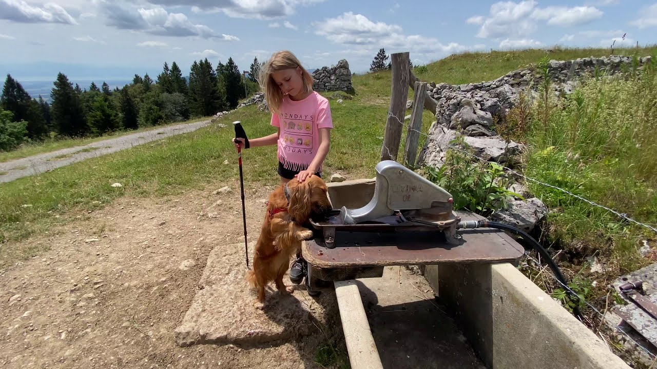 Hiking to mountain 