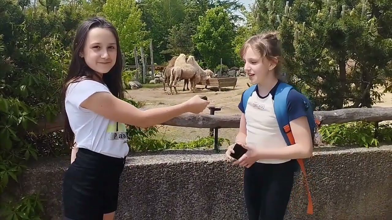 eTwinning - a trip to the zoo