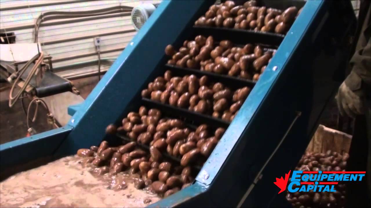 Equipement Capital - Compact Flume Destoner (50,000lb / hour)