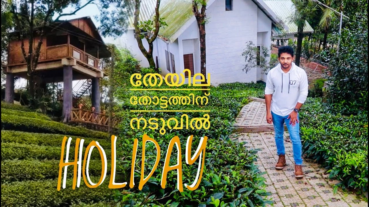 Holiday Resort | Vagamon | മഞ്ഞിൽ മൂടിയ തേയില തോട്ടത്തിൽ ഒരു സ്റ്റേ | EP - 02