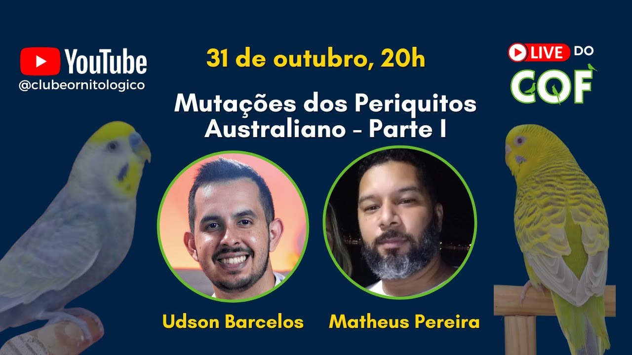 Mutações dos Periquitos Australianos - Parte I