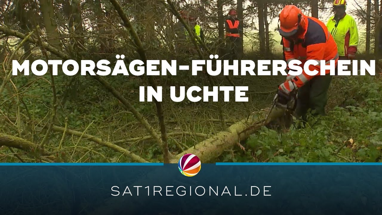 Warum greifen immer mehr Menschen zur Motorsäge?