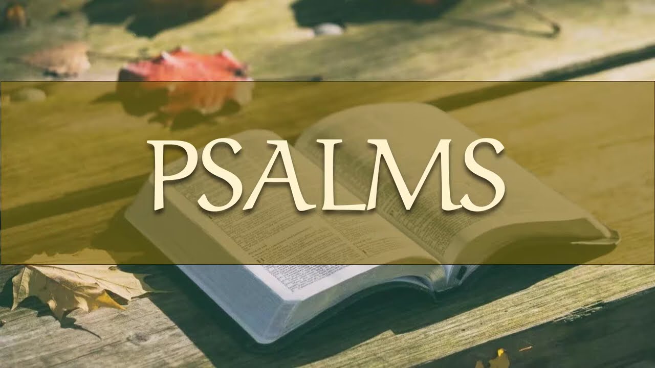 Psalm 143 &bull; Bring my Soul out of Trouble!