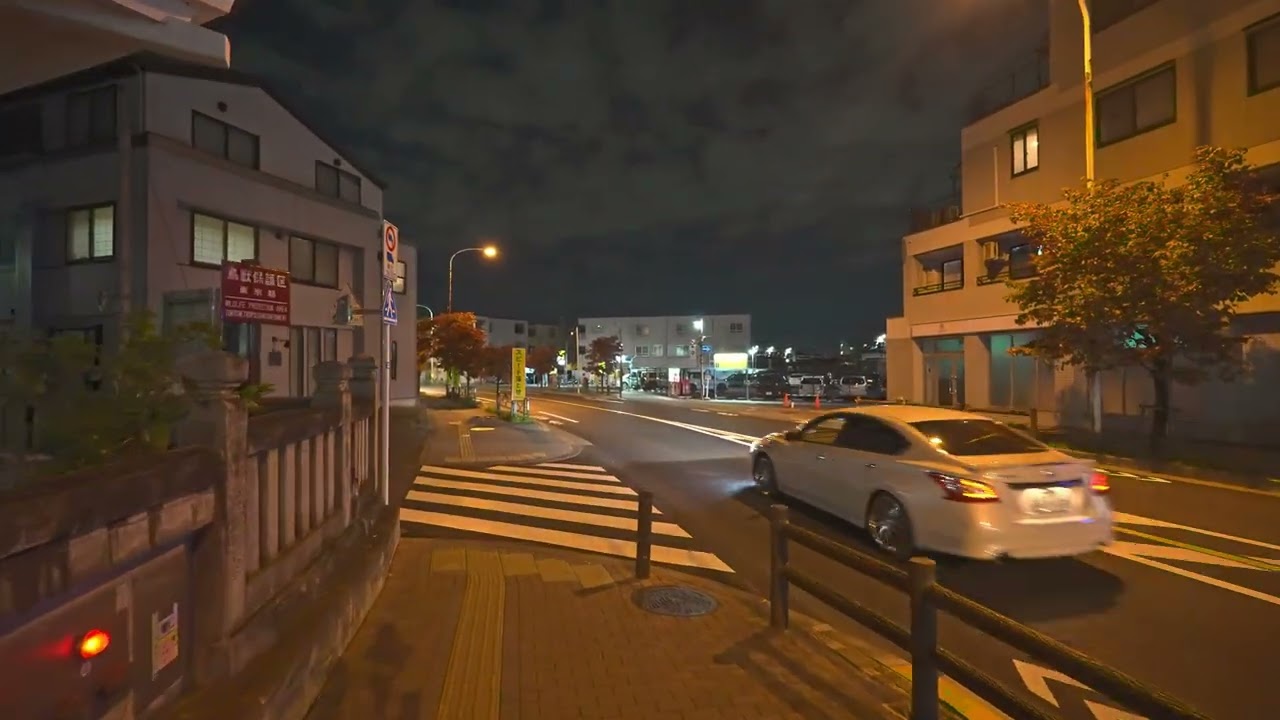 Night Tokyo walk - From Hino to Tama