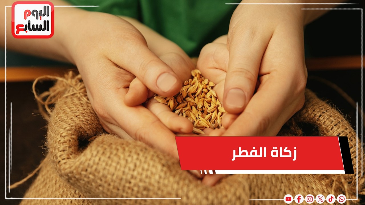 دار الإفتاء المصرية تحدد زكاة الفطر 2026   أعرف الحد الأدنى وآخر موعد لإخراجها