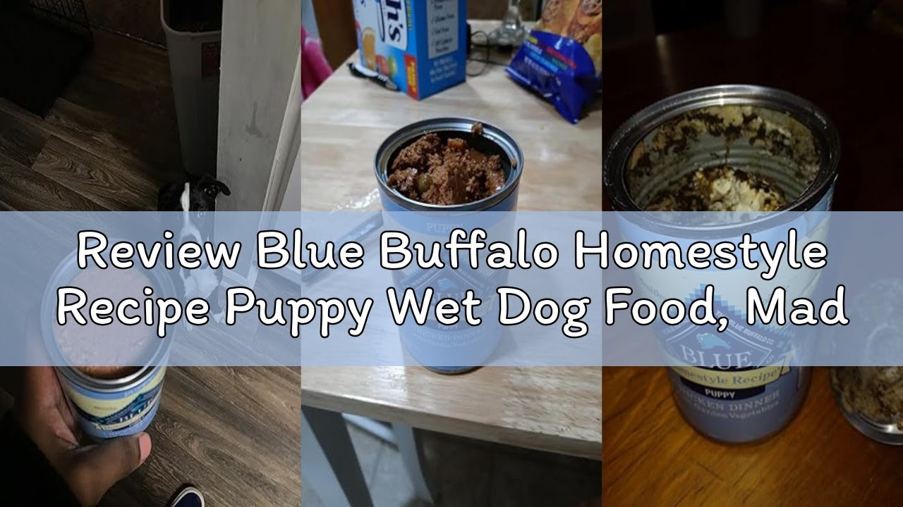Review Blue Buffalo Homestyle Recipe Puppy Wet Dog Food, Made with Natural Ingredients, Chicken Dinn