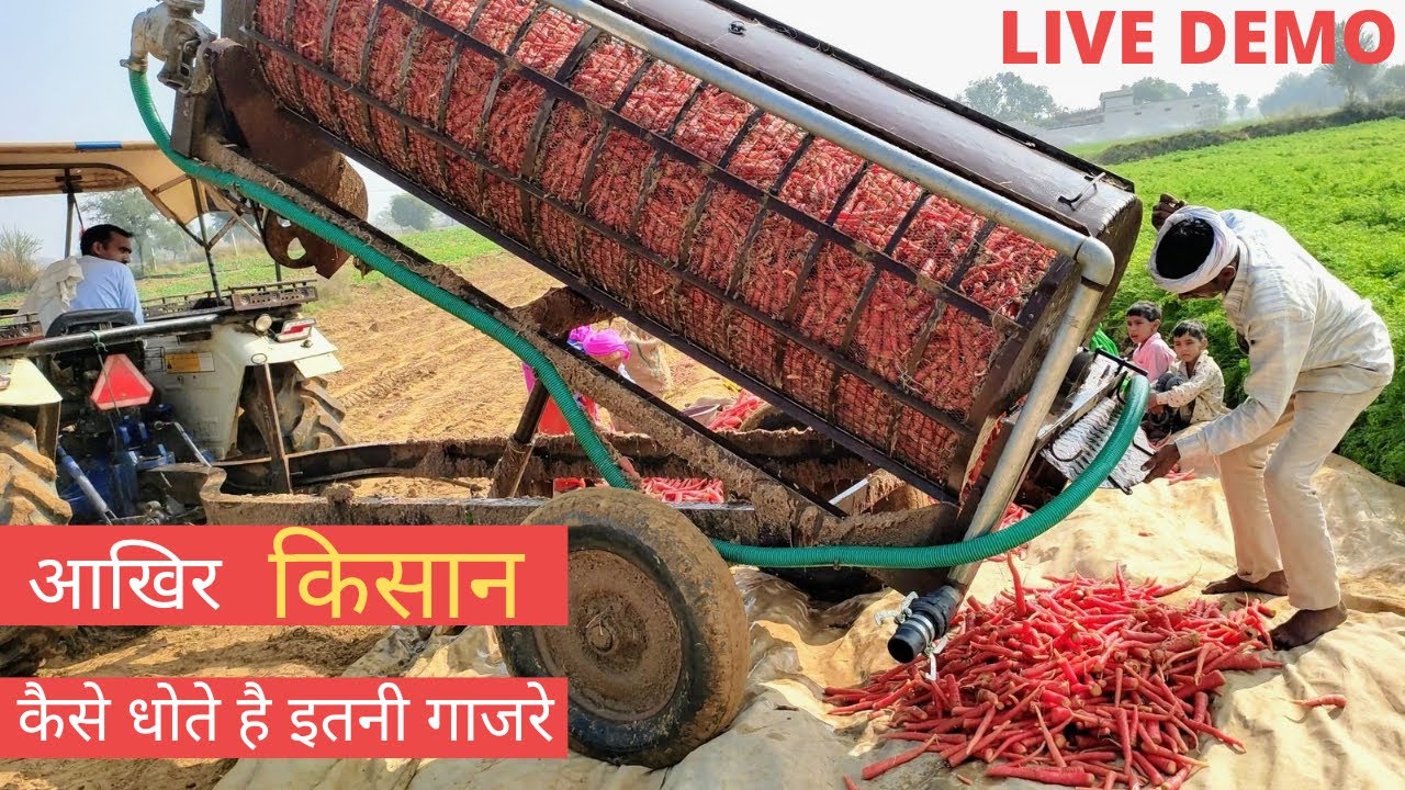 गाजर धोने की मशीन का #live_demo | Carrot washing machine | किसान गाजर कैसे धोते है | (हिंदी में)