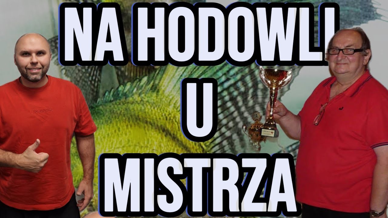 Na hodowli u mistrza Bogusława Micinskiego. Relacja z hodowli.
