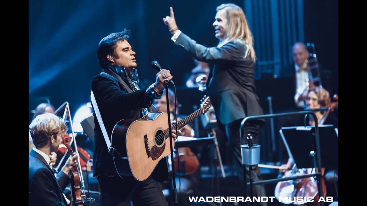 Elvis in Concert - Always On My Mind