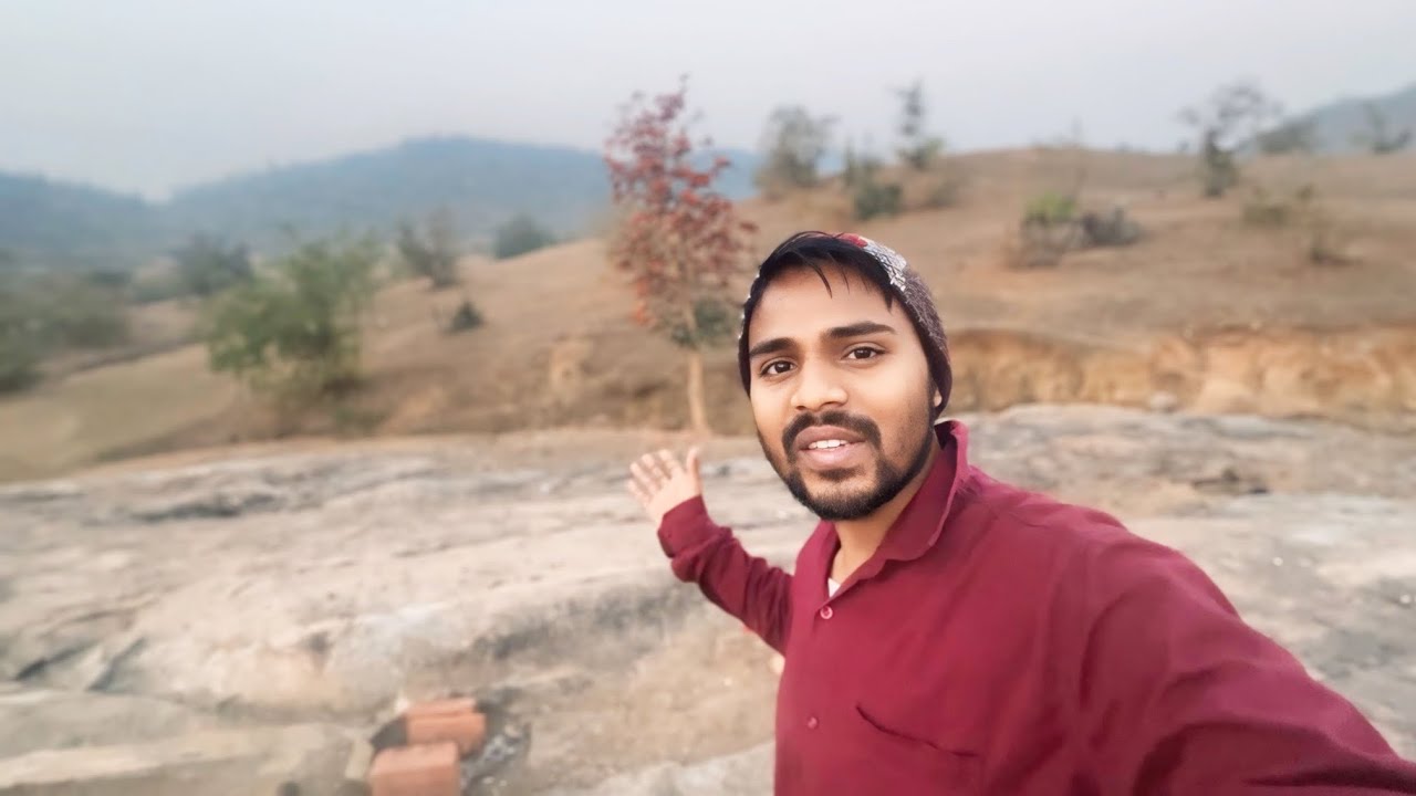 जंगल में मिला अजीब सा फुल का पेड़ और जानवर 😟