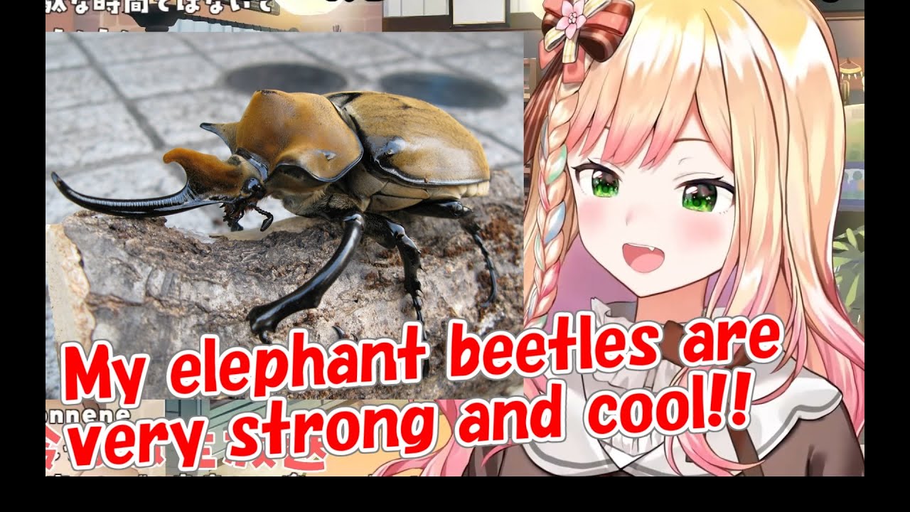 [Hololive] Nene talks about her elephant beetle and her mom [Eng sub]