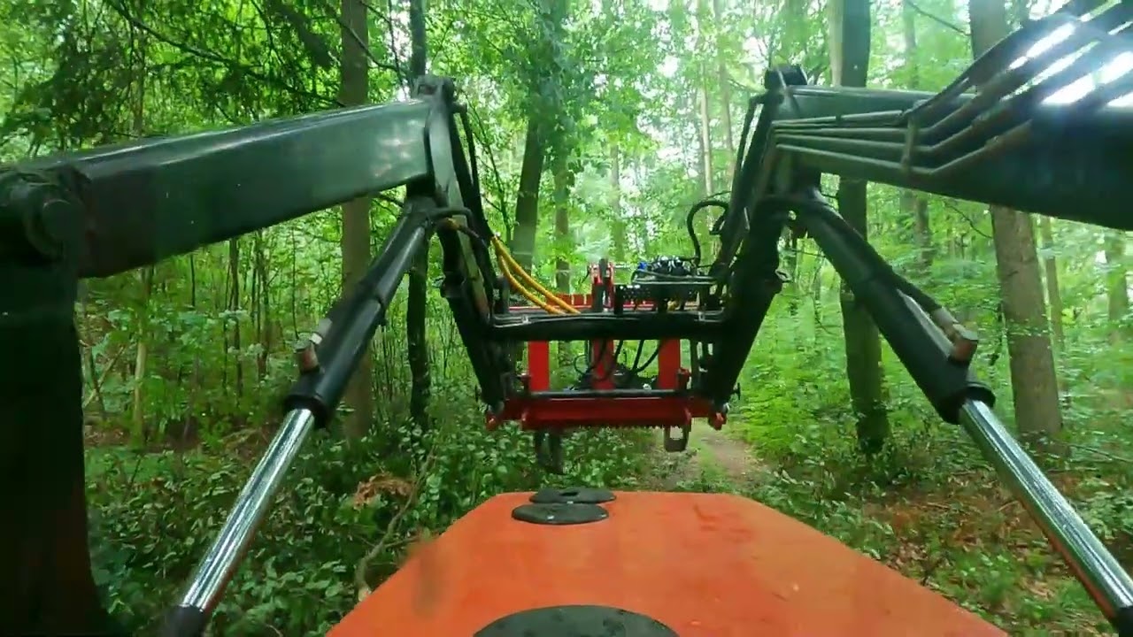 Vom Windwurf bis zum Holzpolter - Hainbuche - Aus der Sicht des Traktors POV