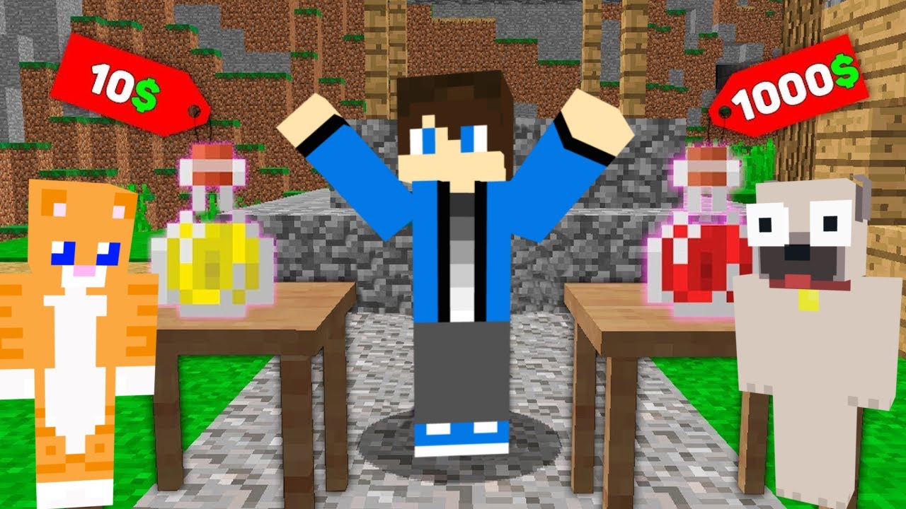 NOOB VS PRO VARÁZS POTI A MINECRAFTBAN!