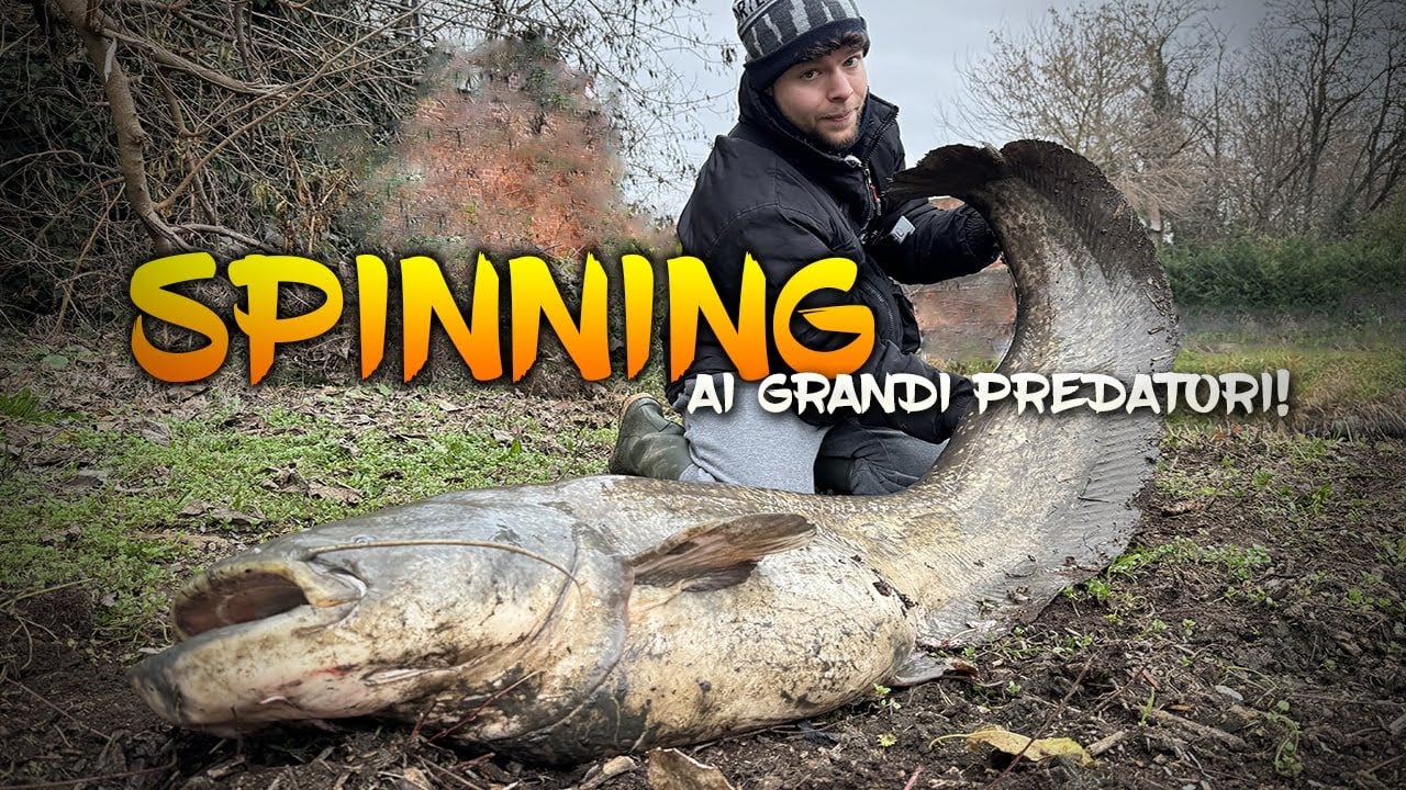 SPINNING ai Grandi Predatori! - Spinning - TZ Fishing