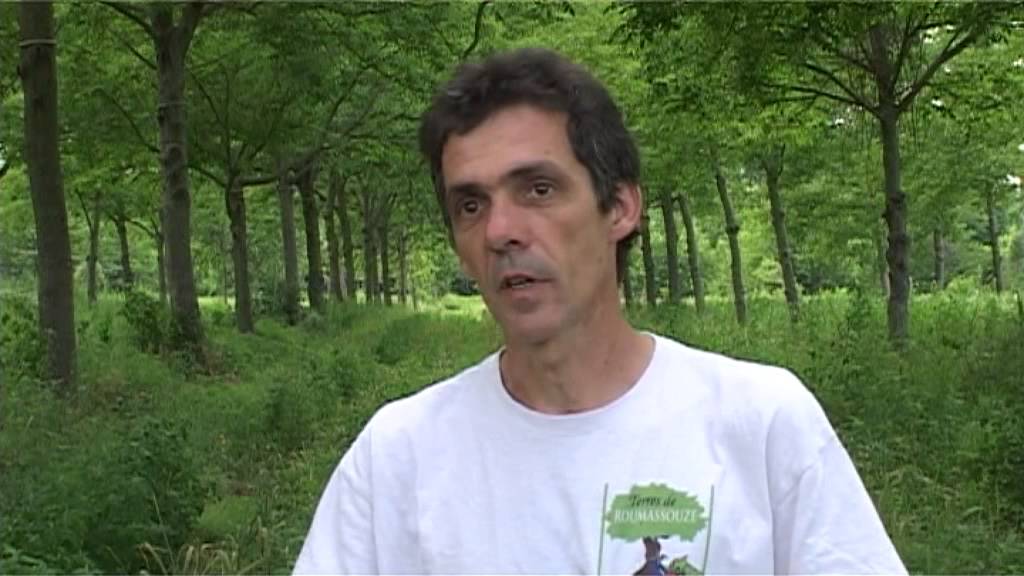 Maraîchage bio sous les arbres - Denis Flores (Gard)