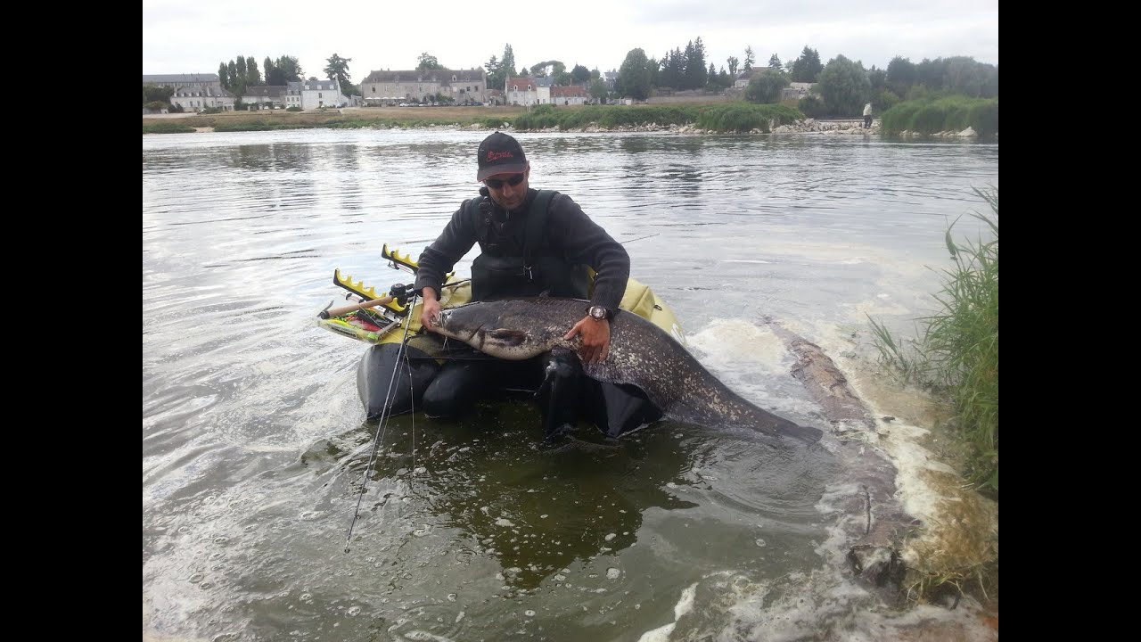 Pêche Silures en Loire float tube Touches en directes (4h de folie)