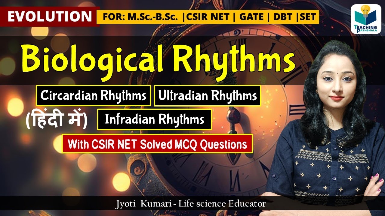 Biological Rhythms & Types | Circardian Rhythms |Ultradian Rhythms | Infradian Rhythms || CSIR 2024