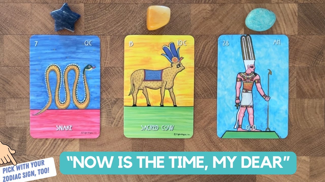 A Message Of Fate | Timeless Reading