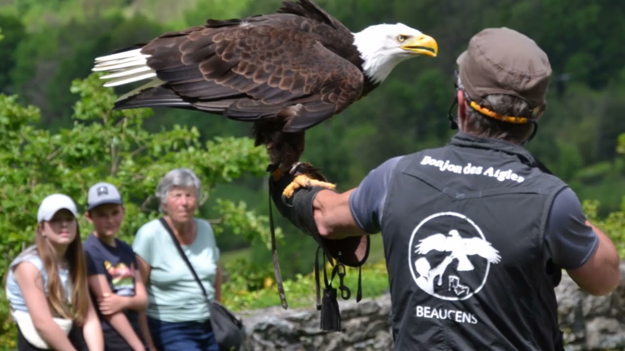 donjon des aigles  Beaucens Hautes Pyr&eacute;n&eacute;es