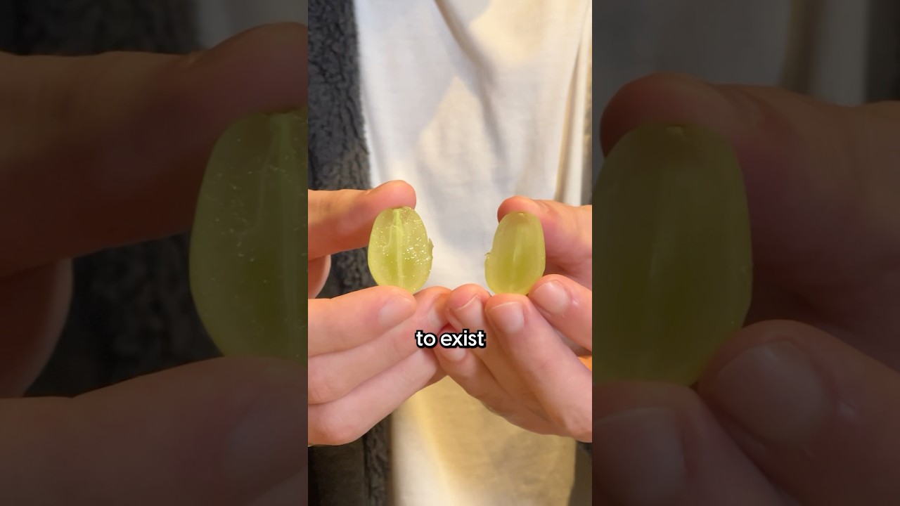 how seedless grapes exist?