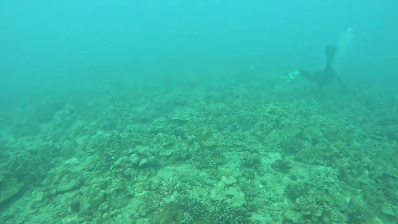 Rojo Reef 8/12/25