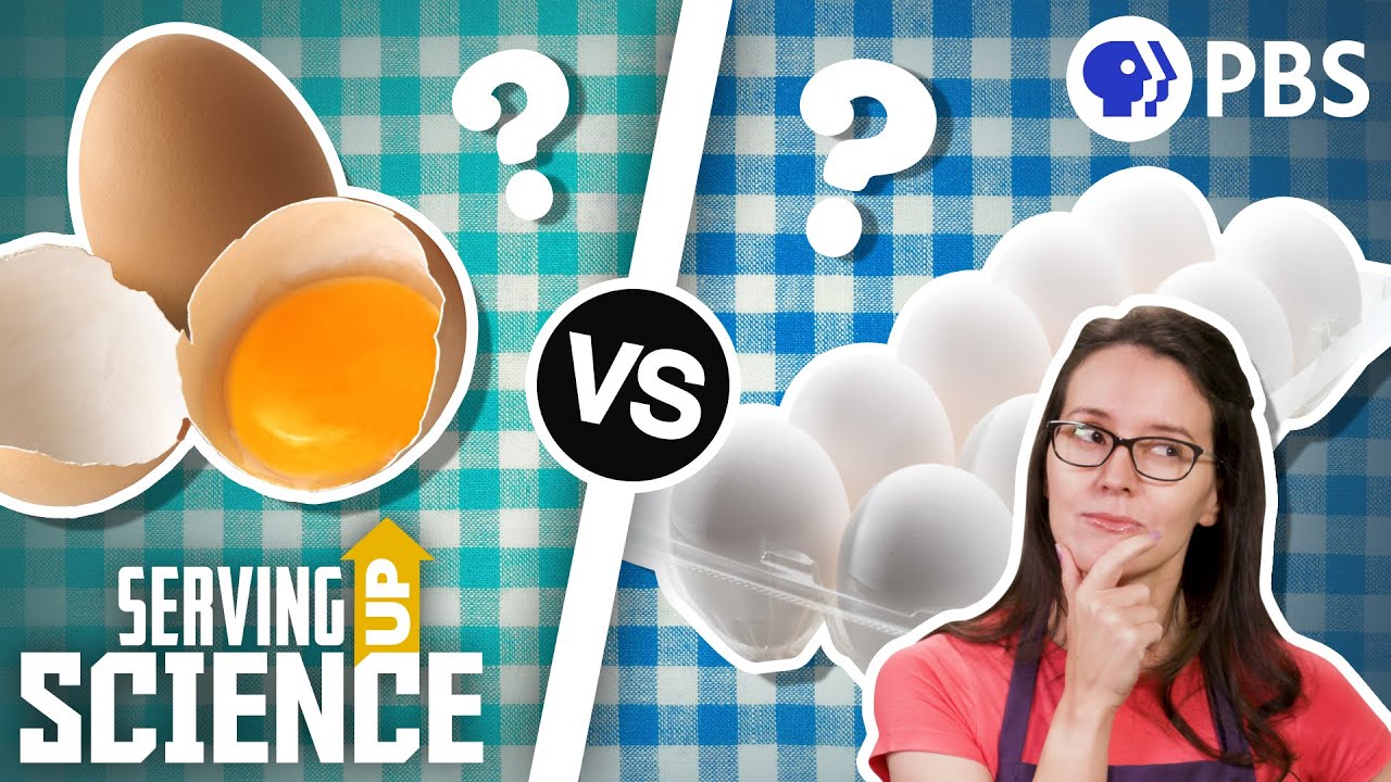 Does it really matter what eggs you buy? | Serving Up Science