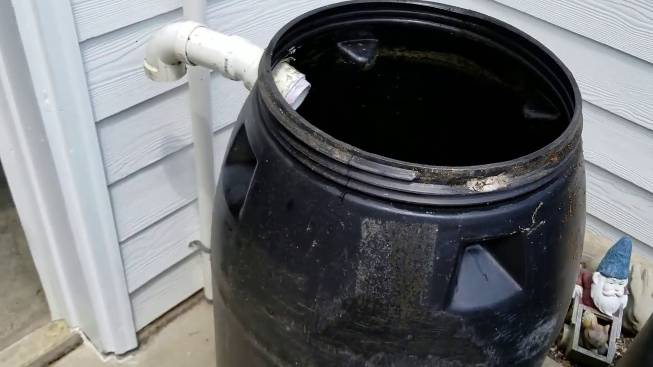 DIY Swirl Filter and Bio Filter Upgrade Before and After