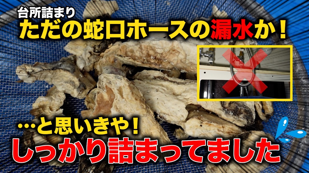 蛇腹ホースの漏水かと思ったら！？デカい油が大量に出てきたぞ！！【花のお掃除 #459】