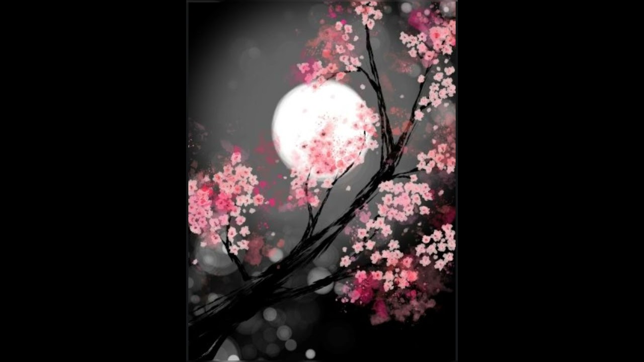 Borlos - Cherry Blossom 