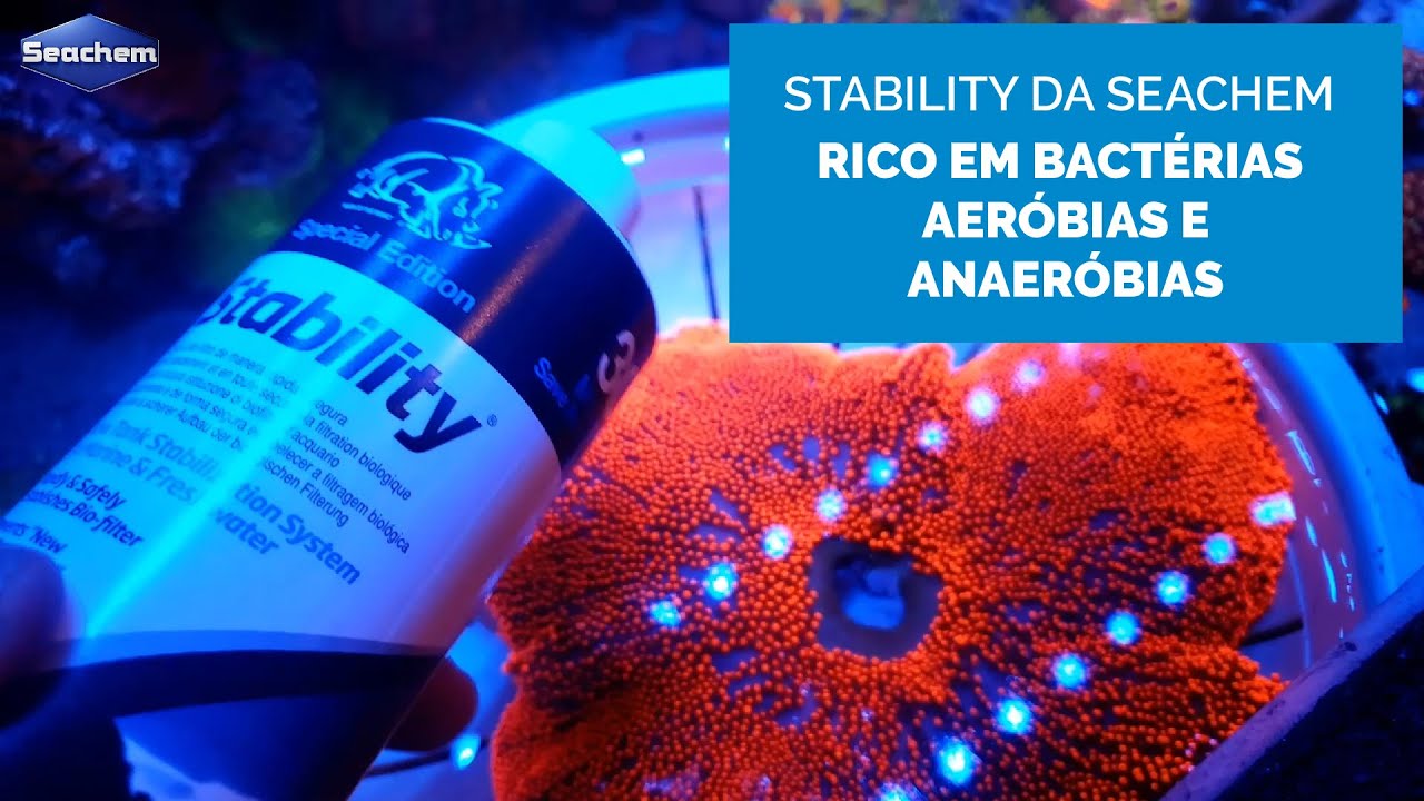 Seachem Stability é um poderoso ACELERADOR BIOLOGICO para o seu aquário