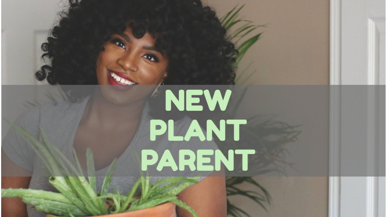 Mini Plant Tour (Beginner Plant Parent)