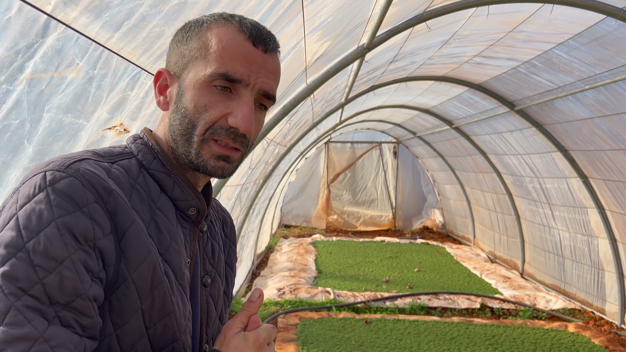What is Azolla? Agriculture Learning in Deir el Ahmar