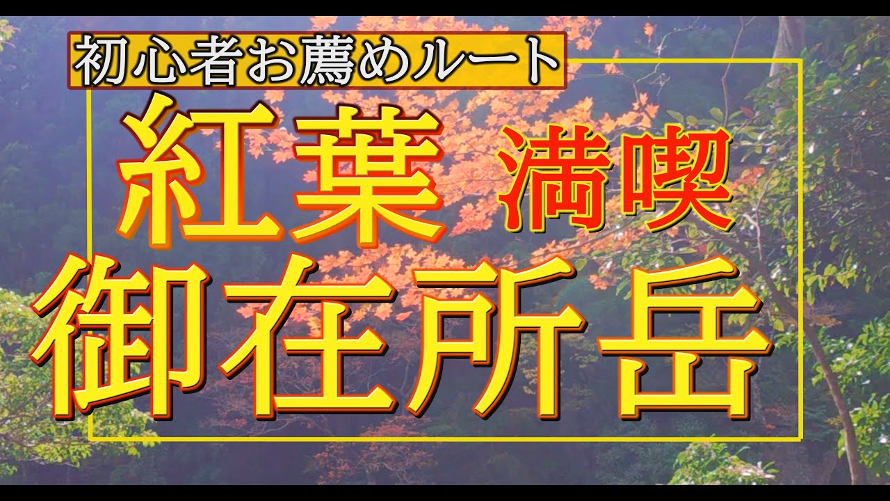 【夫婦登山】御在所岳 裏登山道