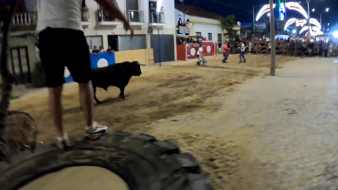 Largada de Touros Alcochete 2023