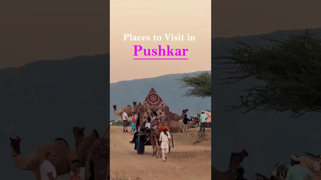 Places to Visit in Pushkar 🦚✨