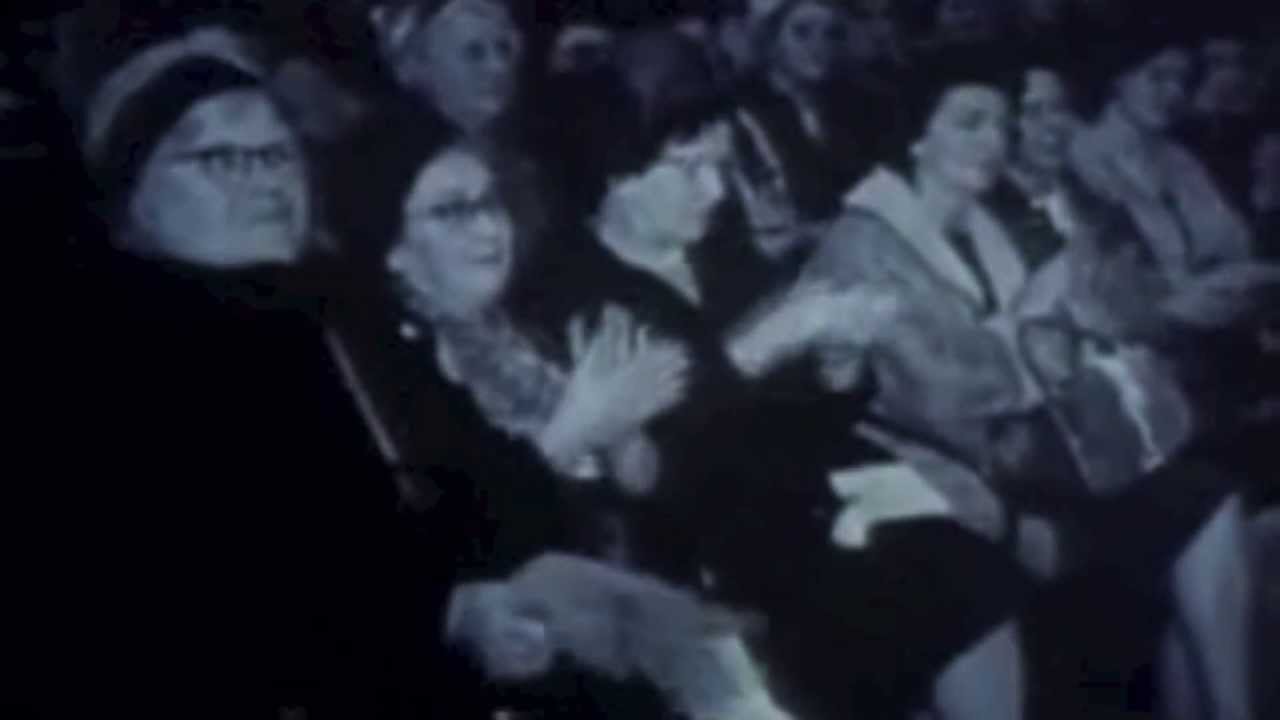 Świetliki - Nowa Fala