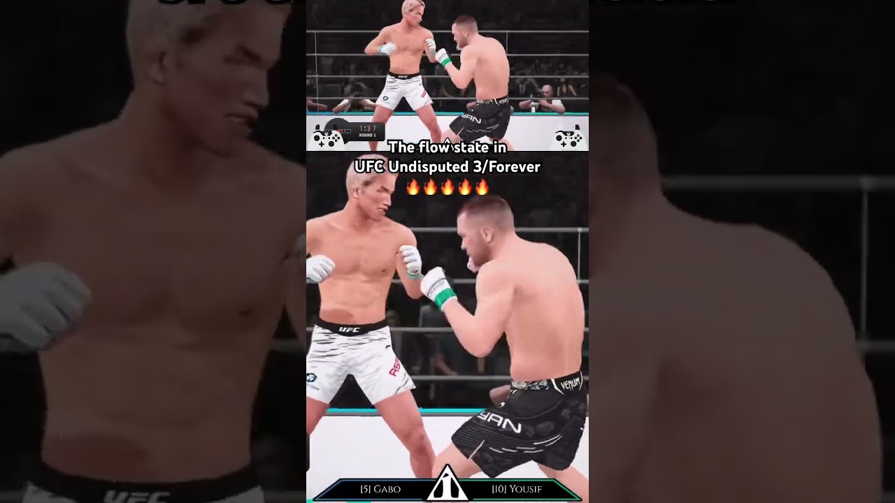 UFC Undisputed 3 at it’s best! UFC Undisputed Forever is amazing
