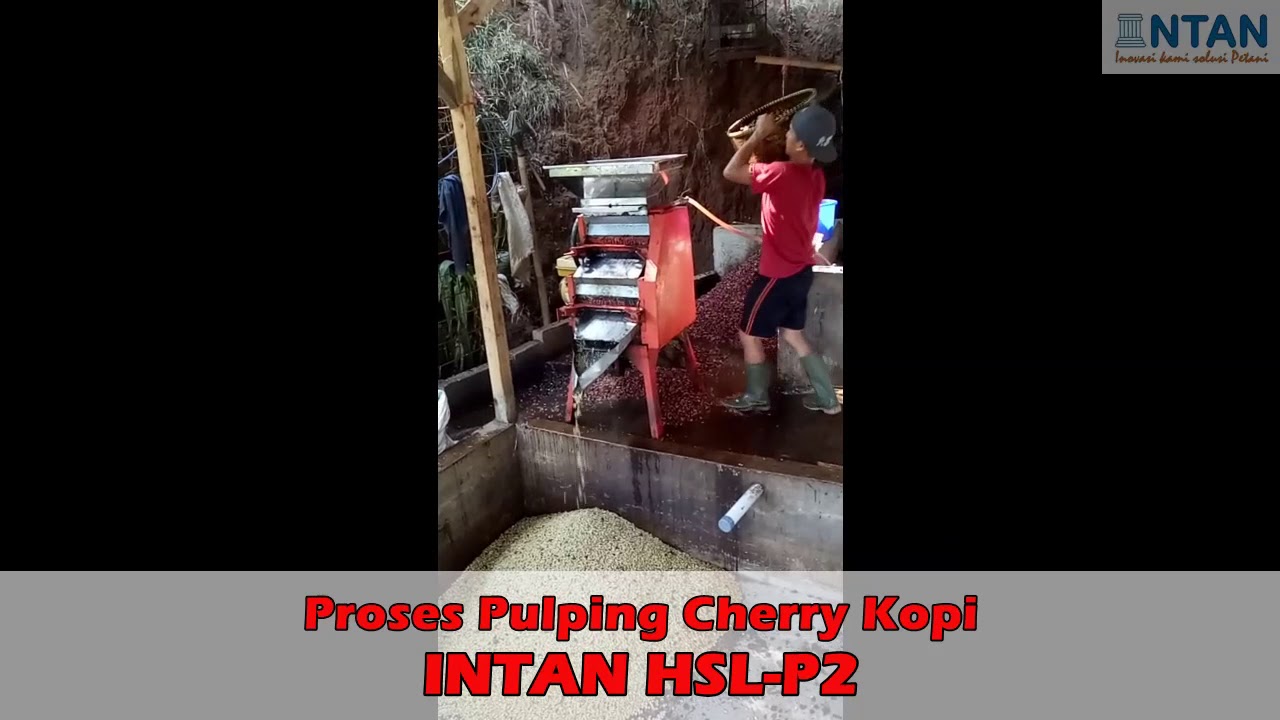 Mesin Pulper INTAN HSL P2 Silinder Pengupas Kulit Kopi Cherry Basah Kapasitas 1450 - 1500 kg/jam