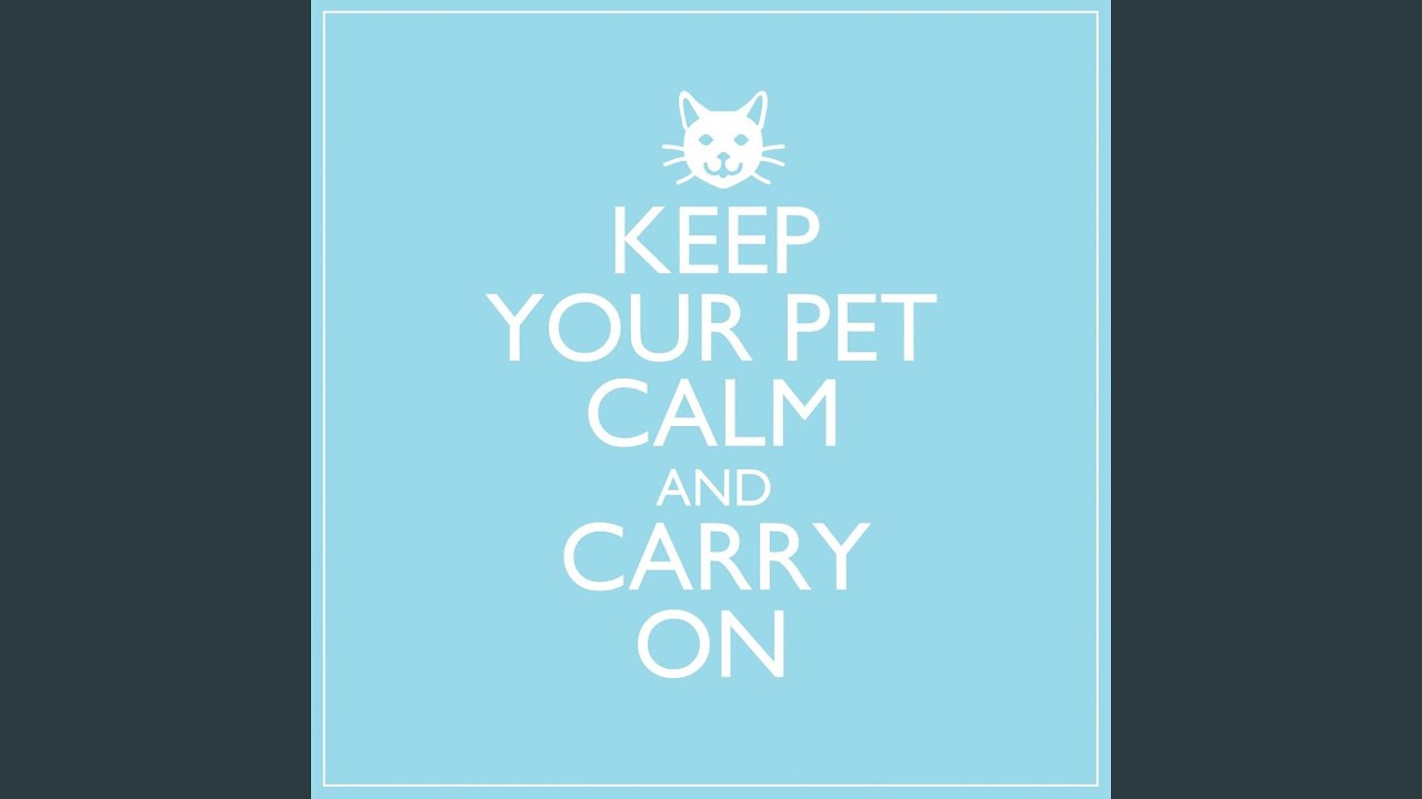 Calming Music for Lonely Pets