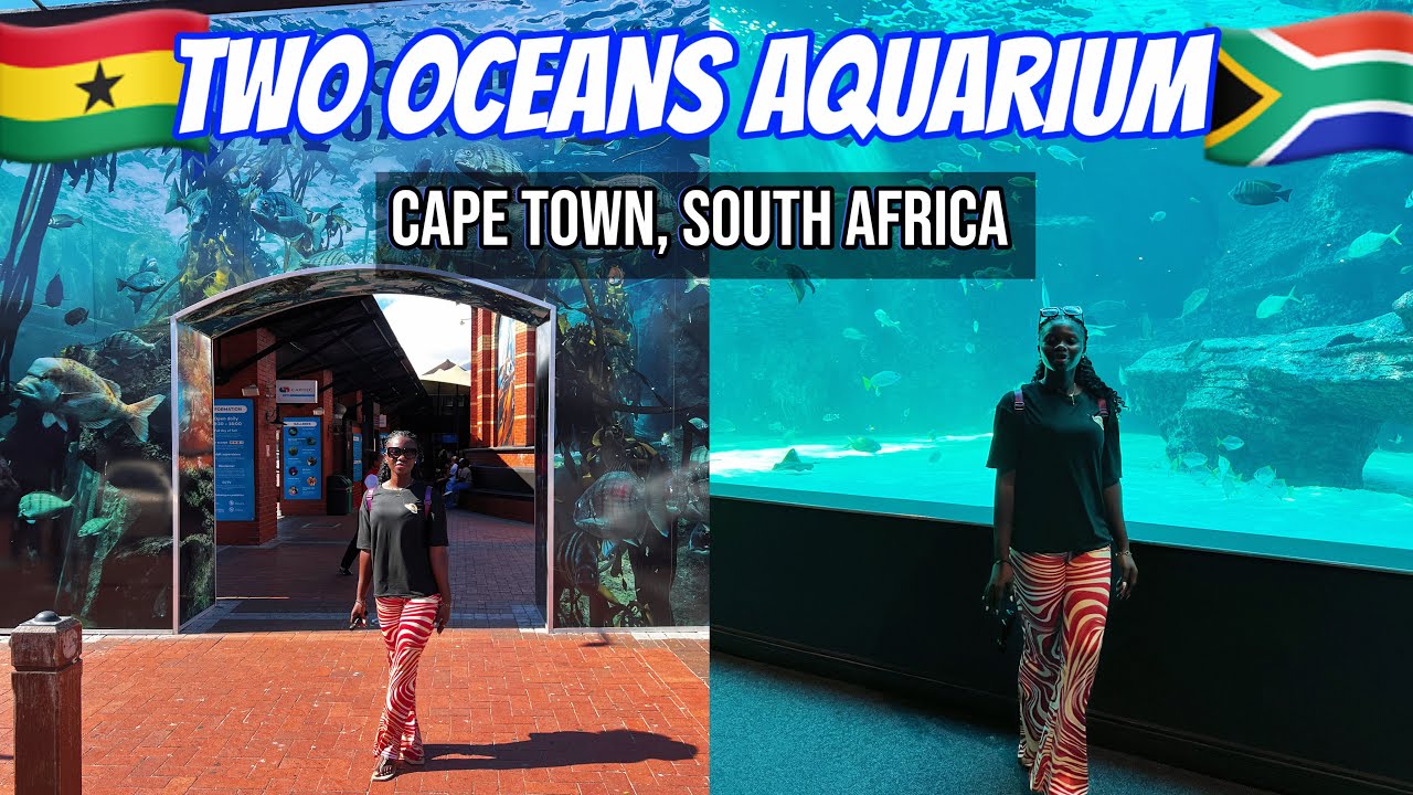 TWO OCEANS AQUARIUM In CAPE TOWN, South Africa / Beautiful Aquarium