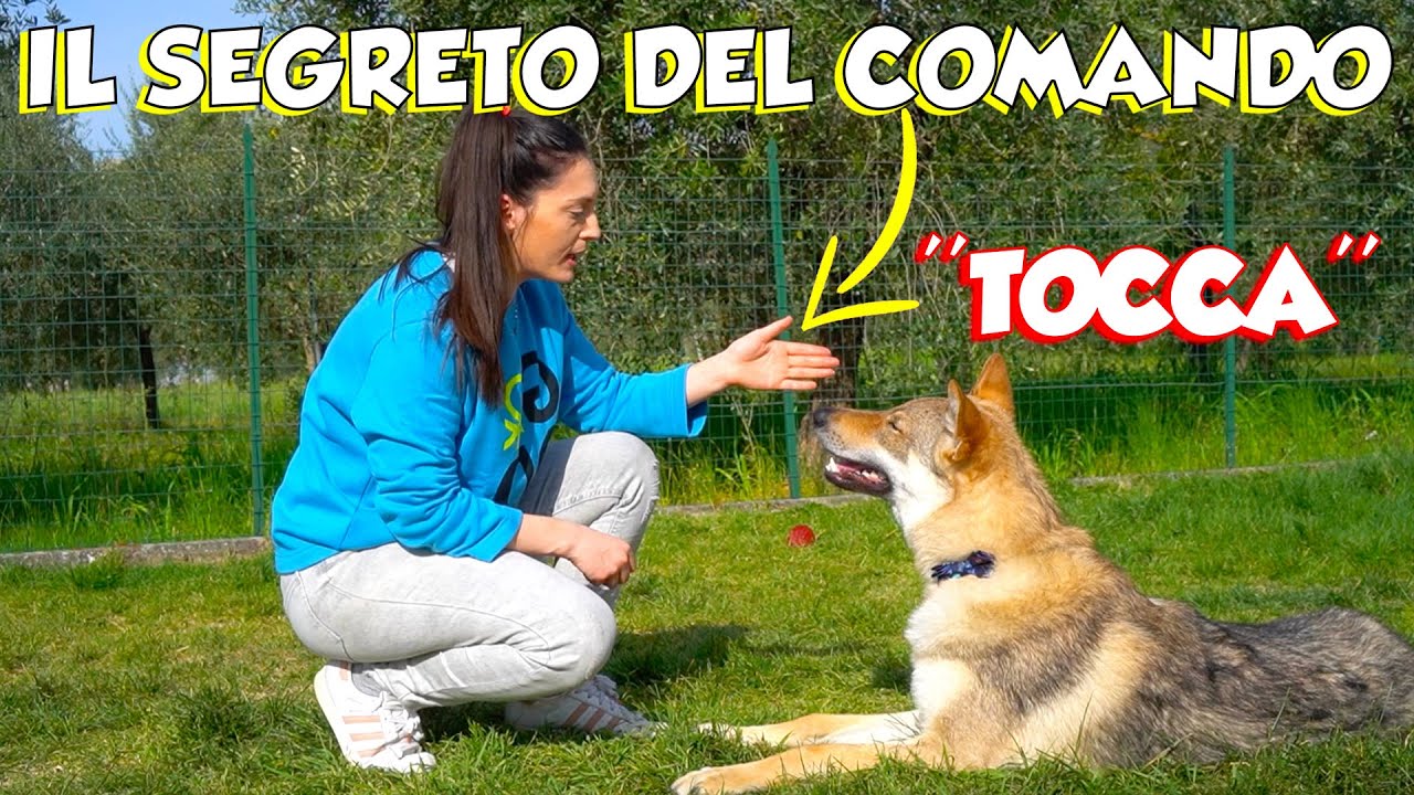 Il SEGRETO DEL COMANDO 