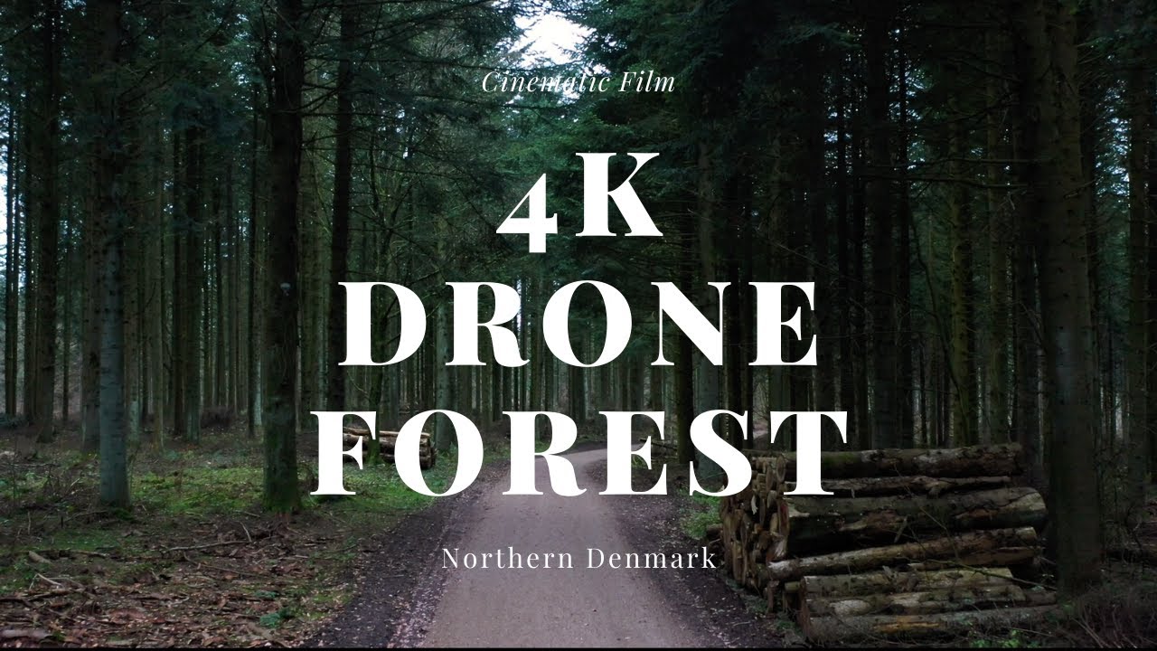 4K Cloudy Forest by Drone l Cinematic Nature Film w/ Music