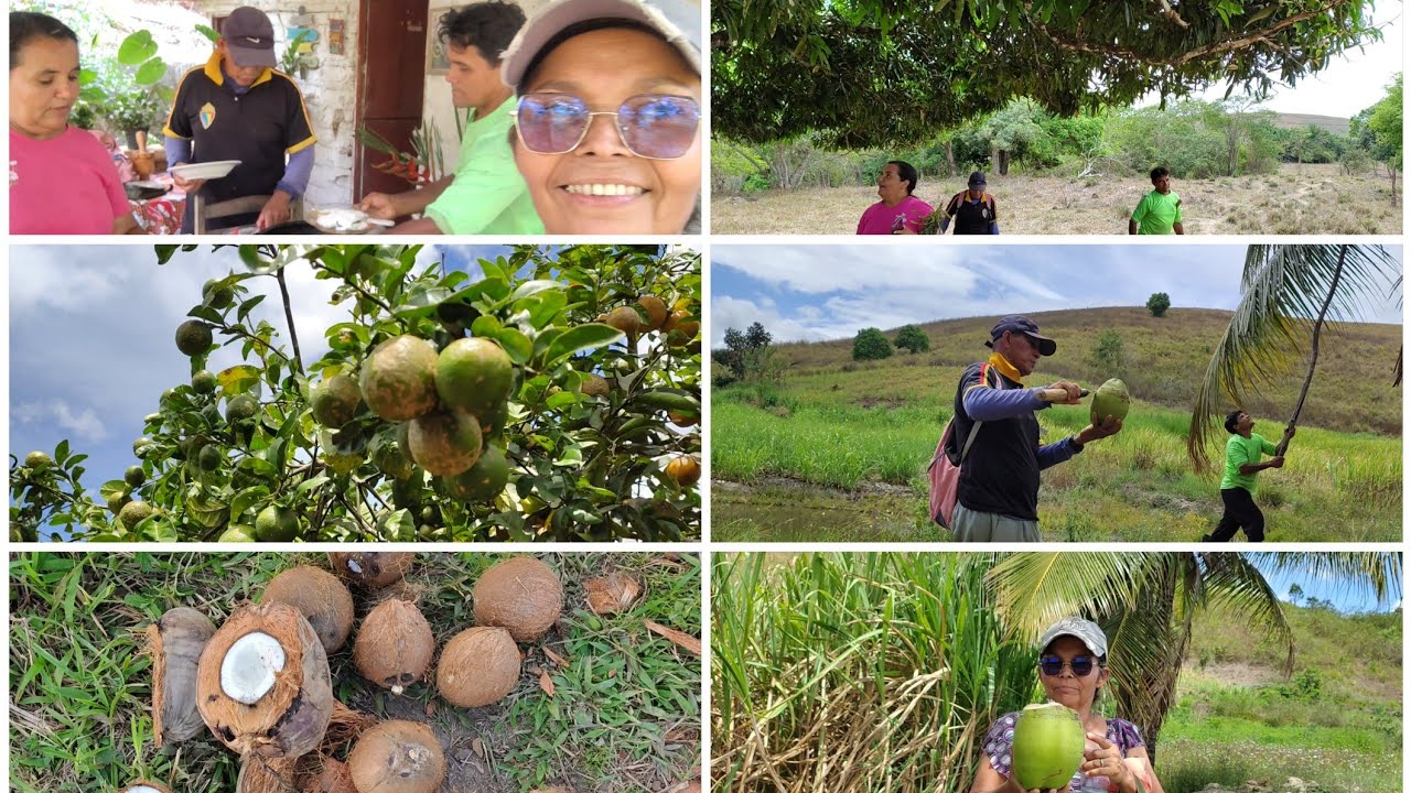 Visitei o recanto do sossego 😍 uma boa caminhada pelos campos em busca de castanhas acompanhe
