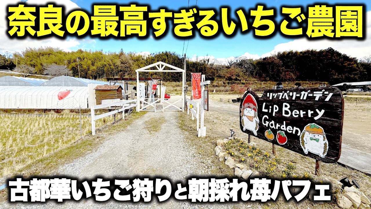 【感動】夫婦で営むいちご農家さんの朝採れ苺パフェが絶品すぎた！