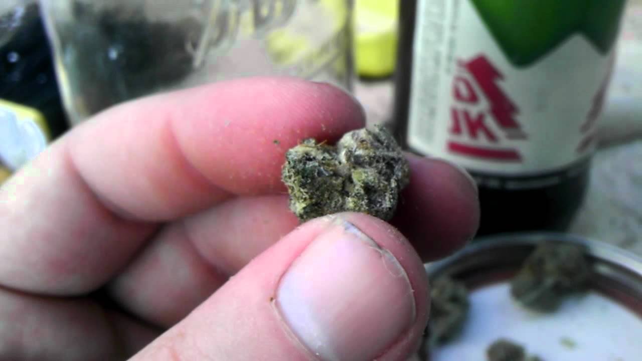 Cfl harvest - lavender
